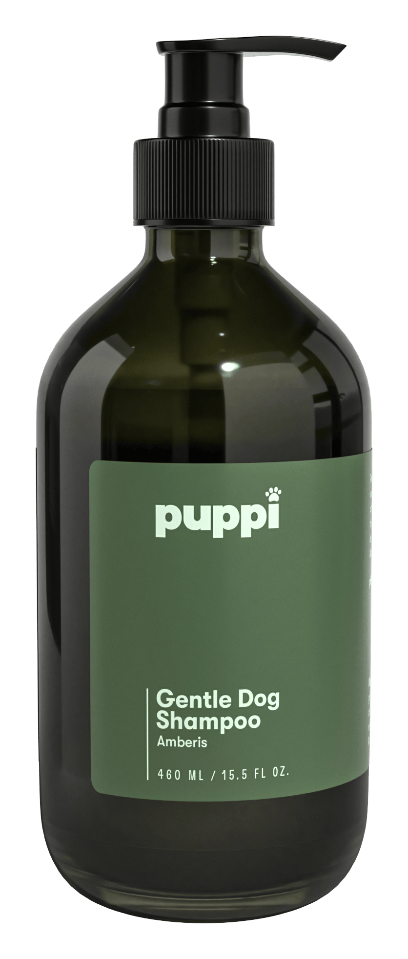 460 ml pump bottle